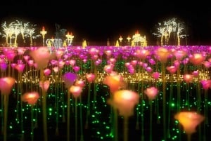 Königlicher Garten des Lichts: Nächtliche Tour durch den Palast Wilanów