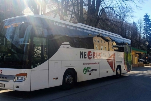 Rzeszów: One-Way Bus Transfer to/from Warsaw