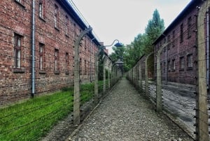 TD Update Needed(Krakow Old Town Full-Day Trip by Car)