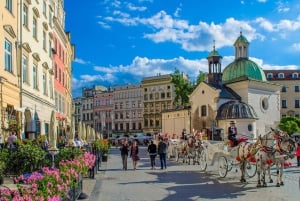 TD Update Needed(Krakow Old Town Full-Day Trip by Car)