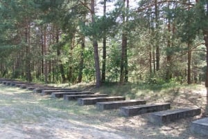 Treblinka: Visita de medio día desde Varsovia en coche privado