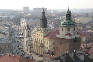 Warszawa: 12-timmars guidad privat tur till Majdanek och Lublin