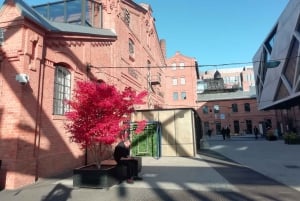 Varsovie : visite à pied de Praga (2 heures)