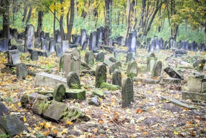 Warsaw: 3-Hour Car Tour of Jewish Warsaw