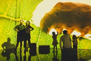 Warsaw: Art Box Experience Exhibition - Save the Planet
