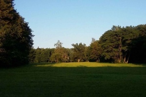 Warsaw: Bialowieza National Park and European Bison Tour