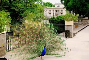 Warszawa by heldagstur med privat panoramabil og byvandring