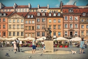 Warszawa by heldagstur med privat panoramabil og byvandring