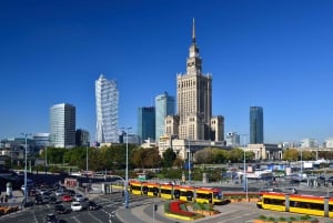 Warszawa by heldagstur med privat panoramabil og byvandring