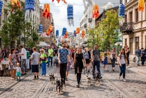 Warszawa by heldagstur med privat panoramabil og byvandring