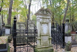 Warszawa by heldagstur med privat panoramabil og byvandring