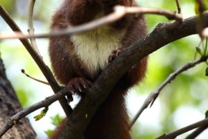 Varsovia: Visita exclusiva de la ciudad con sesión fotográfica