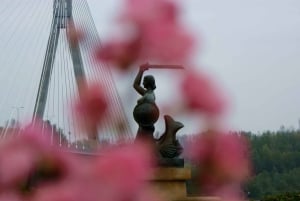 Varsovia: Visita exclusiva de la ciudad con sesión fotográfica