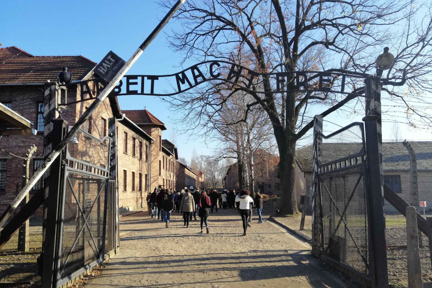 Varsovia: Excursión a Cracovia y Auschwitz en tren con servicio de recogida