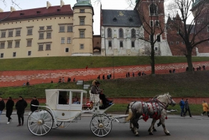Warsaw: Full-day Tour to Krakow and Auschwitz by Train
