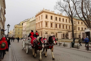 Warsaw: Full-day Tour to Krakow and Auschwitz by Train