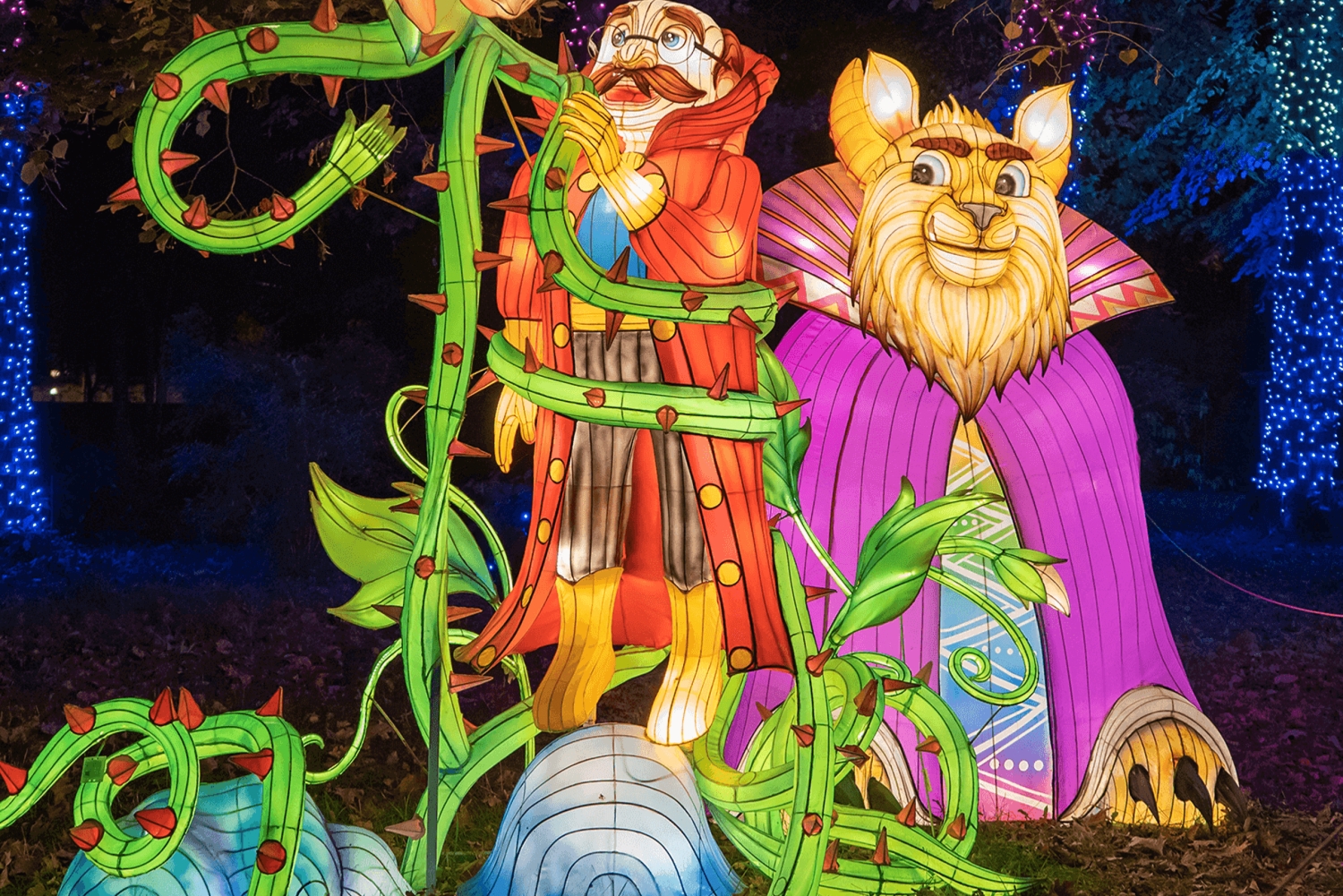 Warsaw: Garden of Lights Entry Ticket