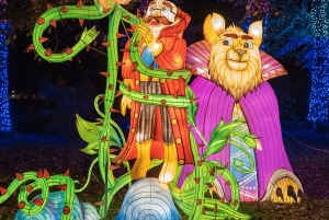 Warsaw: Garden of Lights Entry Ticket