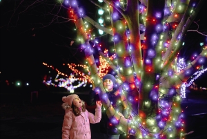 Warsaw: Garden of Lights Entry Ticket