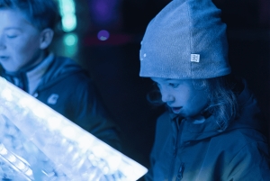 Warsaw: Garden of Lights Entry Ticket