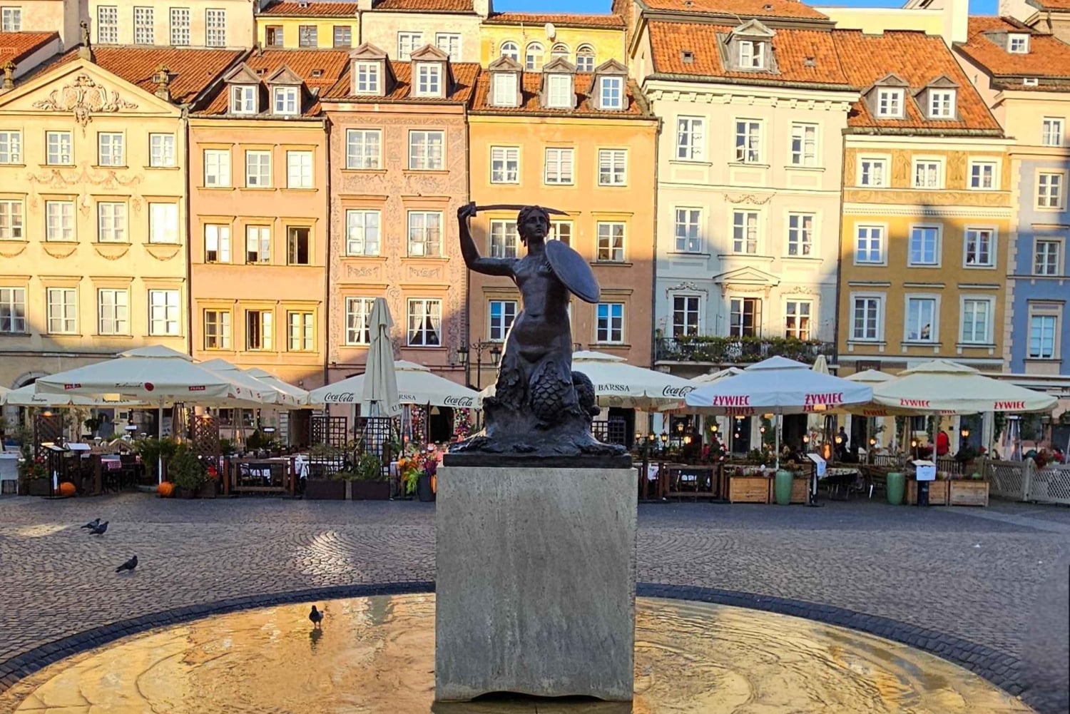 Varsova: opastettu kierros ja dronekuvaus