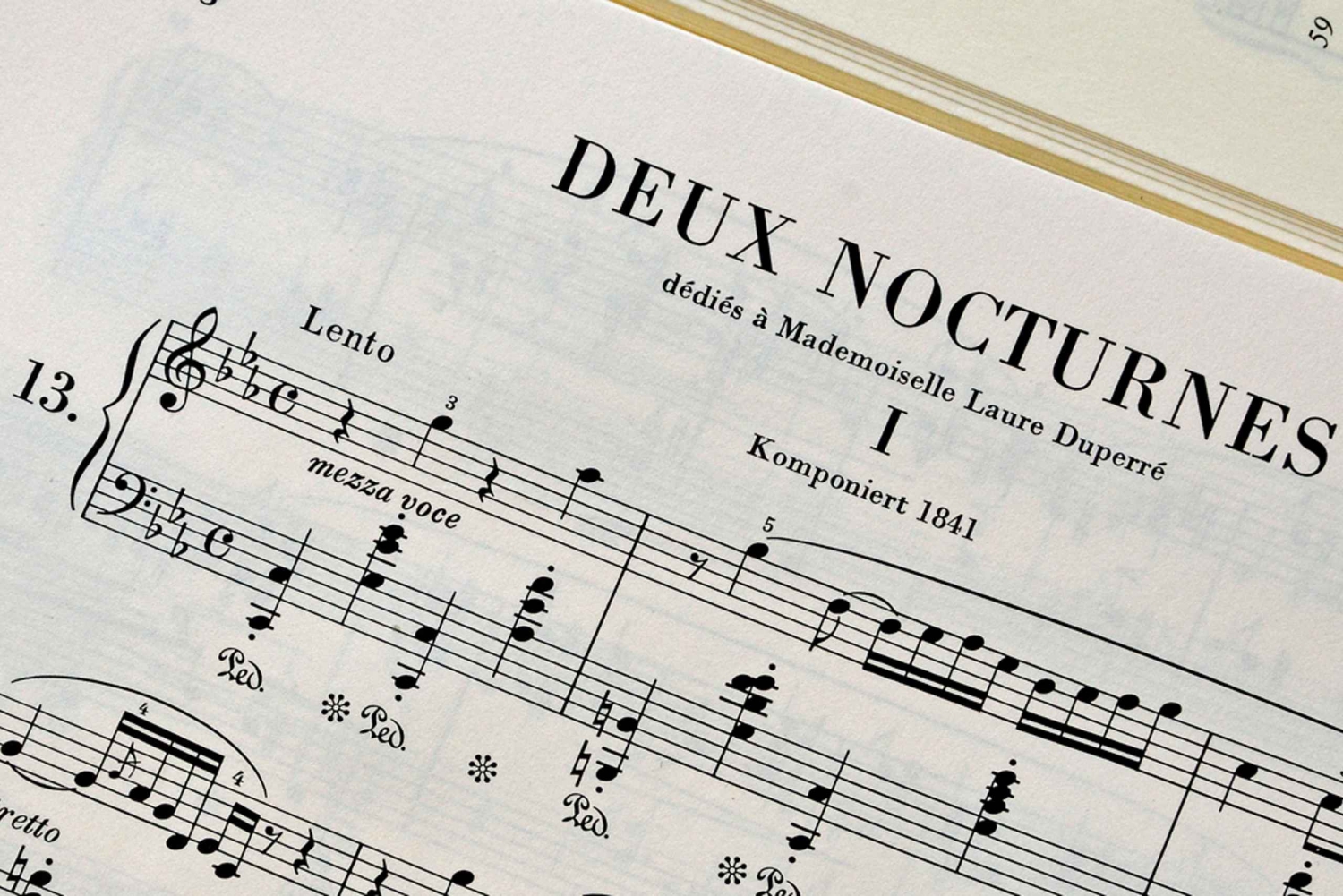 Varsovie : Visite d'une demi-journée privée Chopin à Zelazowa Wola