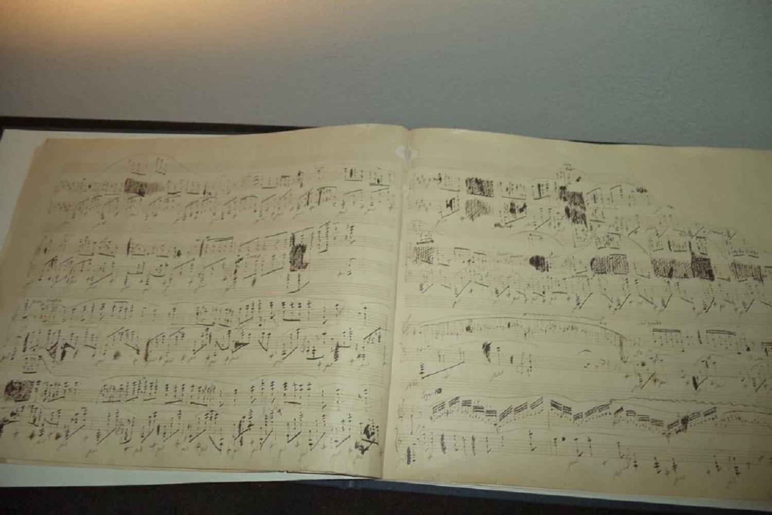 Varsovie : Visite d'une demi-journée privée Chopin à Zelazowa Wola