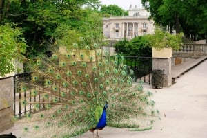 Warszawa privat halvdagstur med panoramaudsigt
