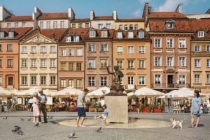 Warszawa privat halvdagstur med panoramaudsigt