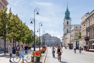 Warszawa privat halvdagstur med panoramaudsigt