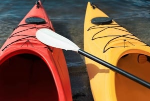 Warsaw: Kayaking Experience