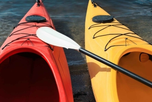 Warschau: Kajakervaring