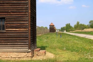 Warszawa: Udflugt i Kraków og Auschwitz-Birkenau på en hel dag