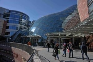 Warszawa: Layover City Tour med afhentning og aflevering i lufthavnen