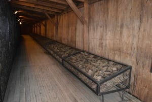 Warsaw: Majdanek Concentration Camp and Lublin Old Town
