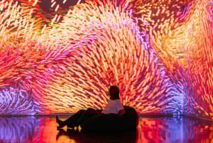 Warszawa: Entrébillet til MELT Museum