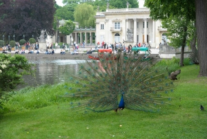 ワルシャワ：車での送迎付き3時間プライベート観光ツアー
