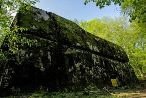 Warsaw: Private Full-Day Wolf's Lair Tour