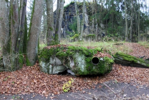 Warsaw: Private Full-Day Wolf's Lair Tour