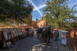 Warsaw: Private Walking Tour with Professional Guide