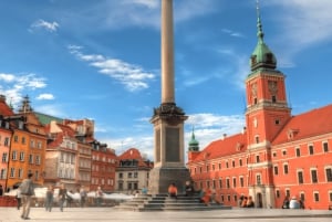 Warszawa: Royal, den gamle bydel, Vistula og Lazienki Park e-Bike Tour