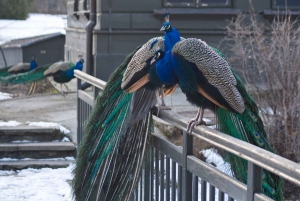 Warsaw_ Zoo Park with Private Transport