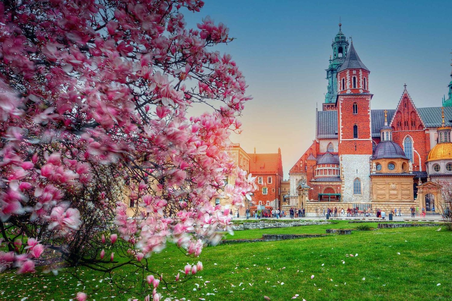 Wawel Hügel Tour mit Audio Guide