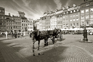 Old Town Black n' White