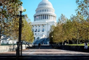 2 つで 1 つ! DC のハイライトとアーリントン墓地のツアー バンドル