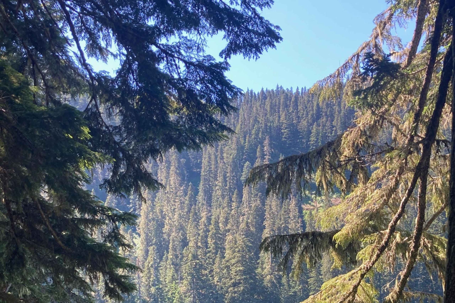 Поход к альпийским озерам в национальном лесу Гиффорд-Пинчот