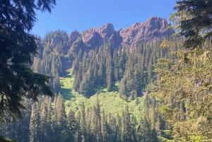 Поход к альпийским озерам в национальном лесу Гиффорд-Пинчот