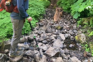 Поход к альпийским озерам в национальном лесу Гиффорд-Пинчот