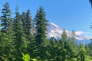 Поход к альпийским озерам в национальном лесу Гиффорд-Пинчот