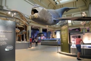 Tour guiado combinado do American History/Natural History Museum